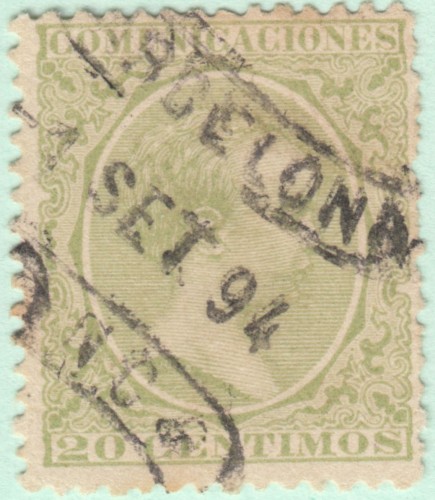 PLATANO-220-PKATANO (2).jpg