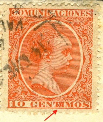 1901pelon-10-clavo.jpeg