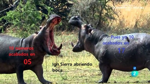 Abriando boca.jpg