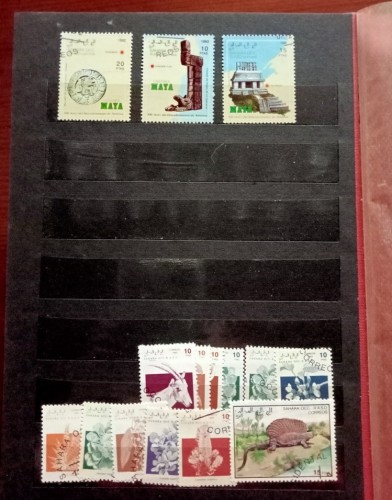 106.jpg