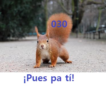 Ardilla.jpg