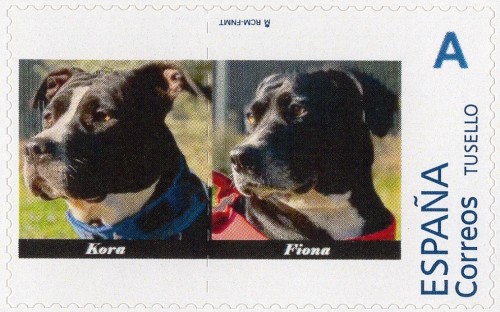 Fiona y Kora.jpg