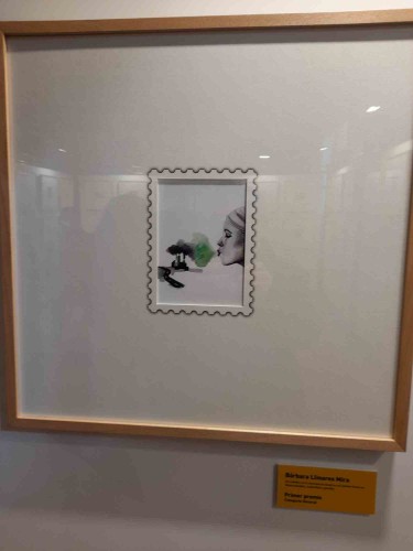 OBRA CAT GENERAL GANADORA.jpg