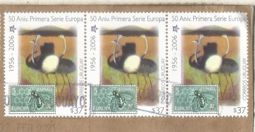 abeja europa.jpg
