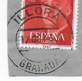 ILLORA.jpg