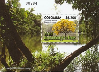2011-08-31. Año Internacional de los Bosques3.jpg