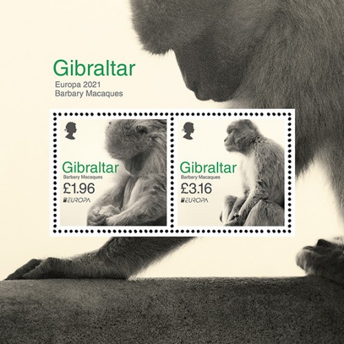 Gibraltar3.jpg
