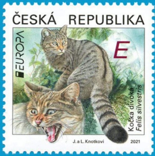 REP CHECA 2021 EUROPA.jpg
