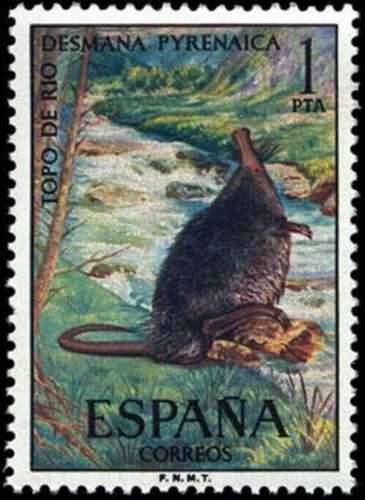 ESPAÑA SELLOS DESMAN PIRINEOS 1972.jpg