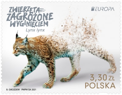 EUrasian-lynx (1).jpg