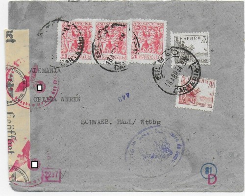 carteria_1.jpg