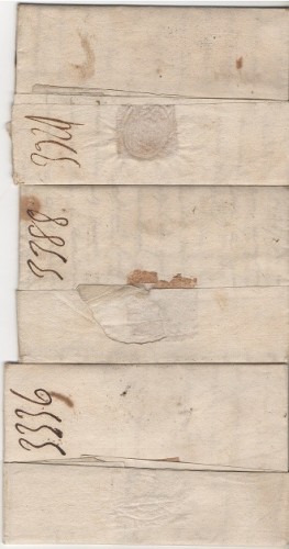Pamplona y Caparroso reverso.jpg