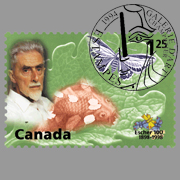 canada Escher.jpg