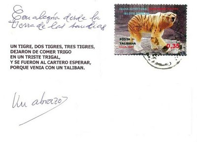 OSO GAMONINO.jpg