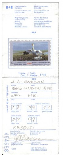 pato canada.JPG