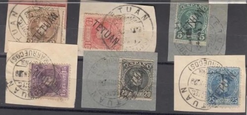295725108.jpg