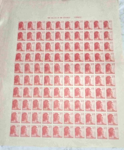 LOTE 55 A-compressed.jpg