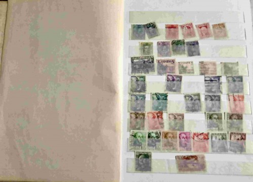 LOTE 135-compressed.jpg