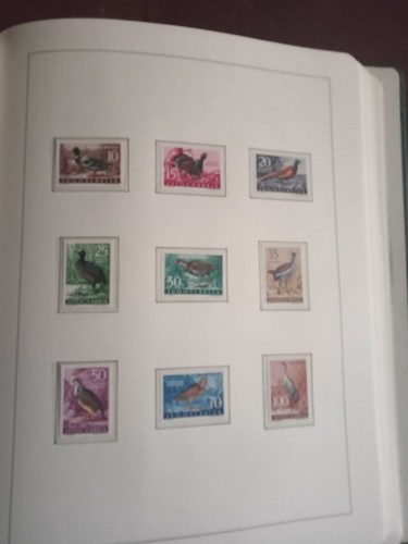 LOTE 177 G.jpg