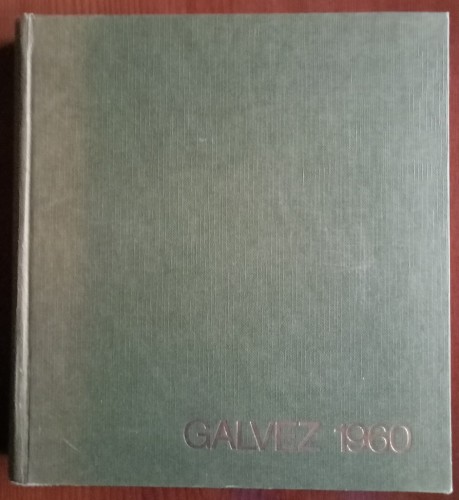 LOTE 7.jpg