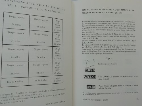 LOTE 17B.jpg
