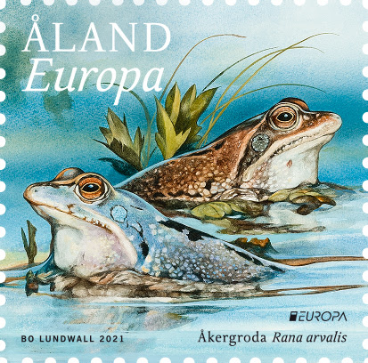 2º clasificado Aland