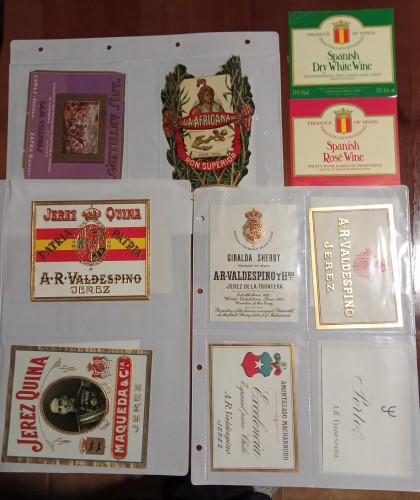 LOTE 309.jpg