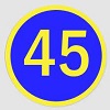 45.jpg