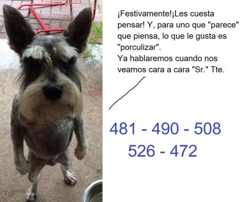 Enfado.jpg