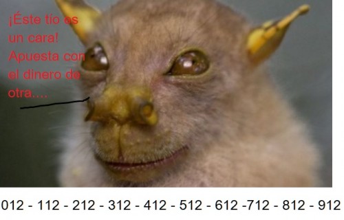 Es un cara.jpg