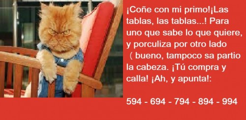 Gato enfurruñao.jpg