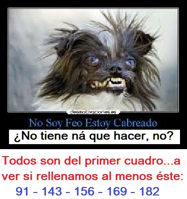 Feo.jpg