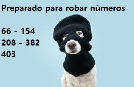 robar.jpg