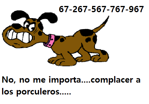 porculeros.png