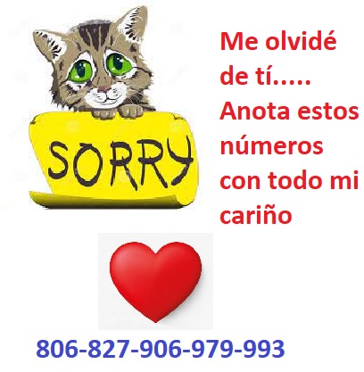 sorry.jpg