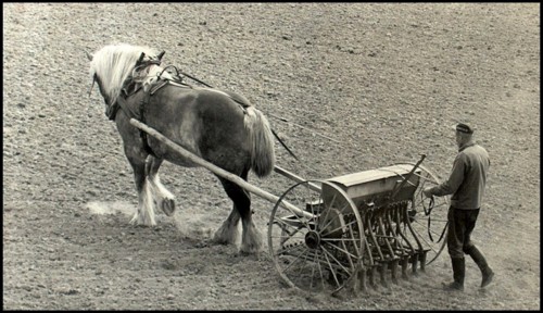 Fotografía de un agricultor arando, obra de Horst Tuuloskorpi