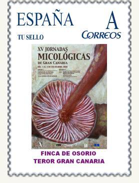 S009 - FINCA OSORIO - TEROR.jpg