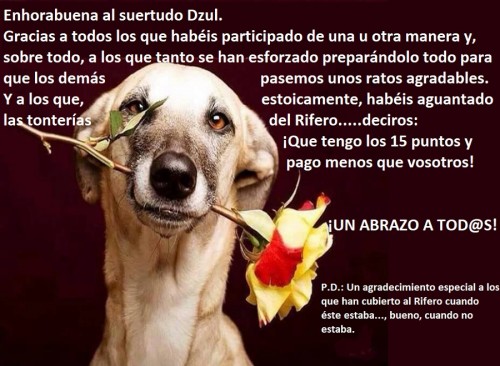 Sin título.jpg