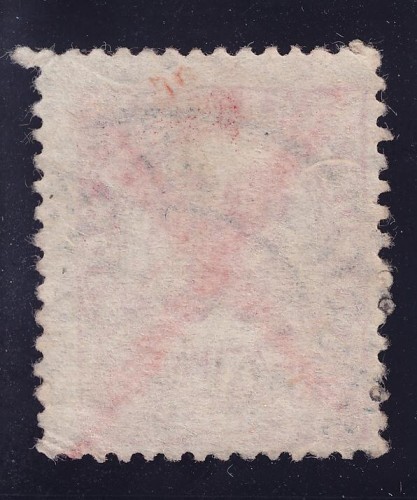 dorso_0001.jpg