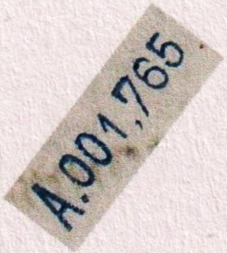 Colección Falsos Telégrafos. Escáner_20210806 (63) fig. 3 det web.jpg