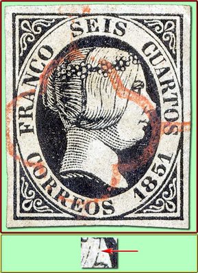 #6-D113 PT con marca identificación