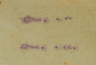 DSC03806.JPG