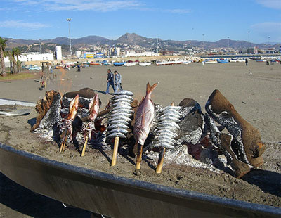 espeto playa.jpg