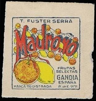 Madroño.jpg