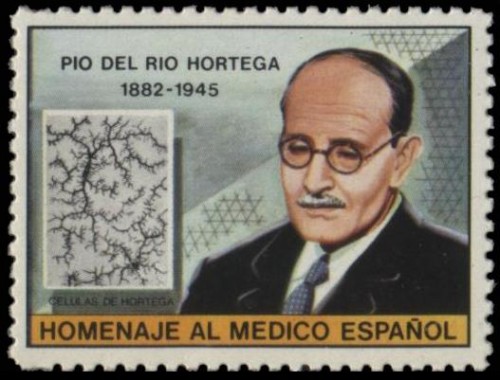 Homenaje al Médico Español.- 10.jpg