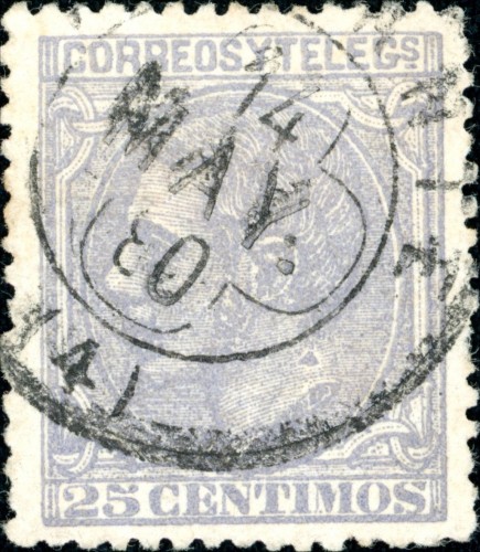 204 Mancha triangular en el cuello.jpg