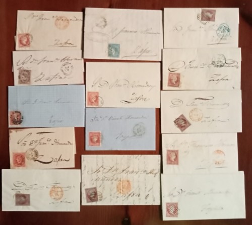LOTE 95.jpg