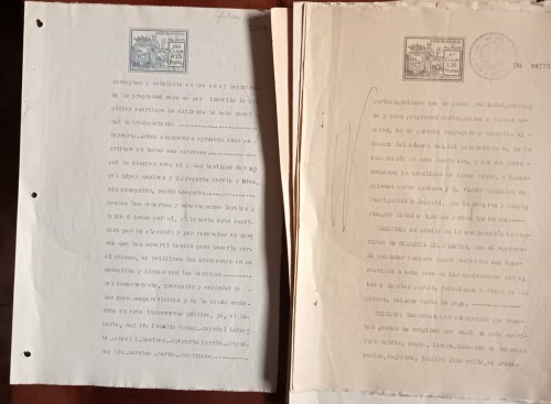 LOTE 253.jpg