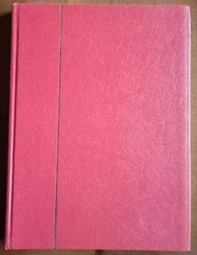 LOTE 255.jpg