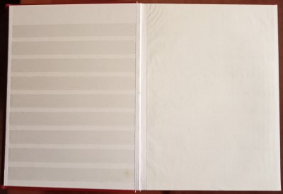LOTE 255A.jpg
